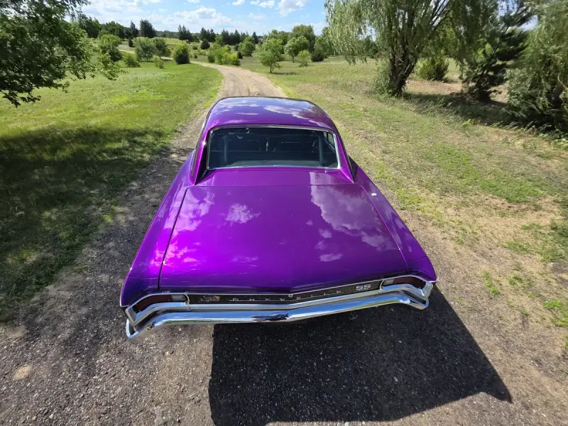 1966 Chevrolet Chevelle Super Sport Pro Street photo 13